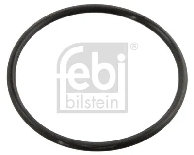 Прокладка термостата FEBI BILSTEIN 10258