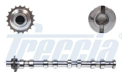 Распредвал FRECCIA CM052145