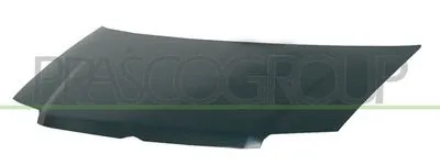 Капот PRASCO FT1223100