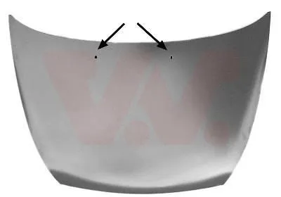 Капот VAN WEZEL 1865760